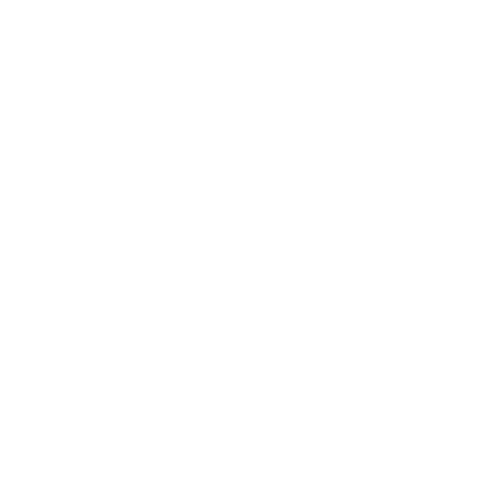 icon api(white)