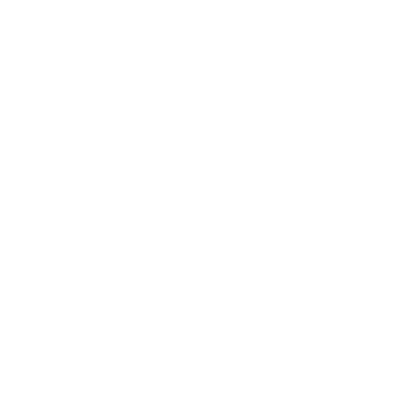 icon deploymentopt(white)